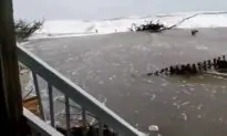 Video: Photographer Nearly Swept Away by Hurricane Florence