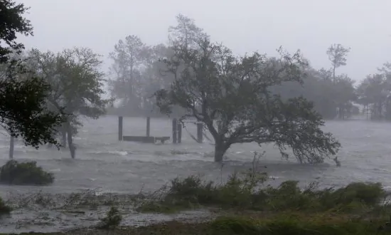 Video: Dolphins Swim in Hurricane Florence Storm Surge in Wilmington