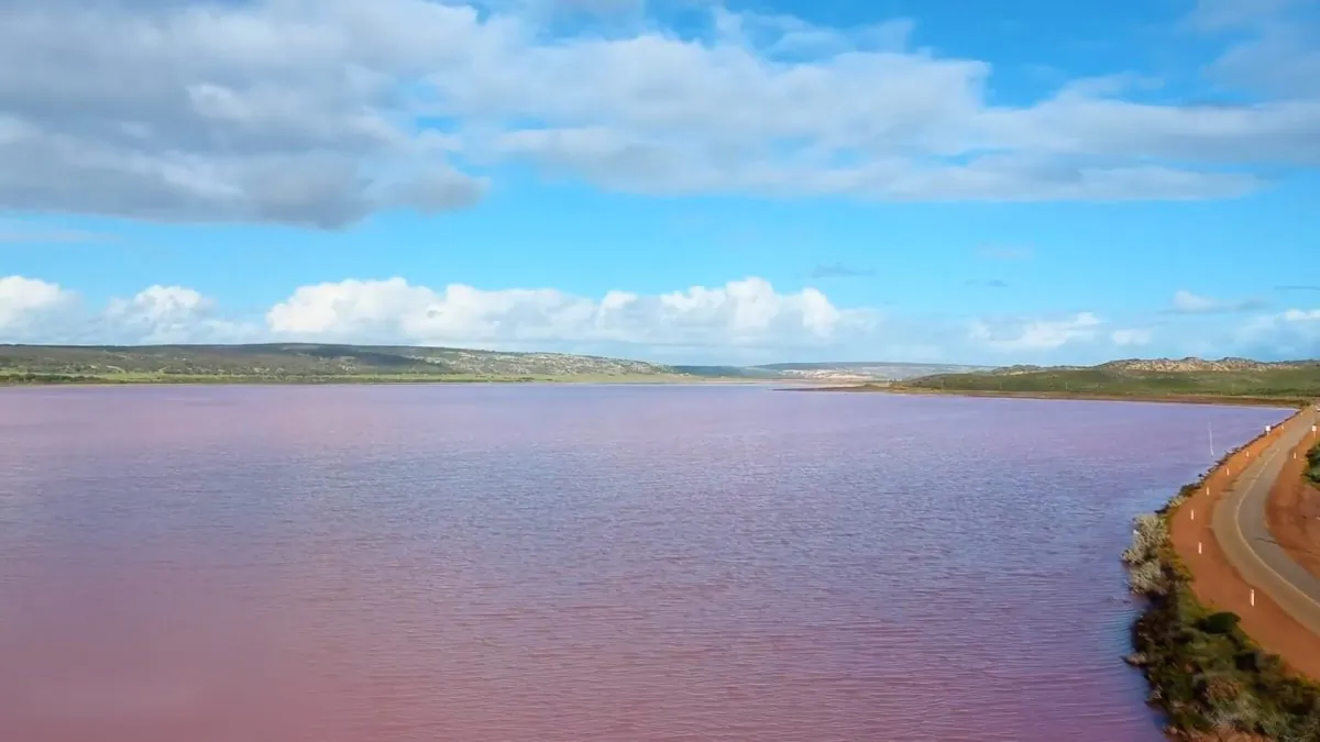 Travel blogger Shelley Tonkin captured extraordinary drone video of Western Australia’s Hutt Lagoon in August, showcasing the vivid, bubblegum-pink waters of the salt lake. (Screenshot/wheresshelly/Storyful)