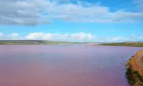 Photographer Captures Stunning Pink Lake in Western Australia