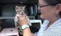 Woman Rescues Animals From Fury of Hurricane Florence