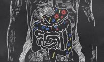 New Research Reveals What Probiotics Do Inside Gut