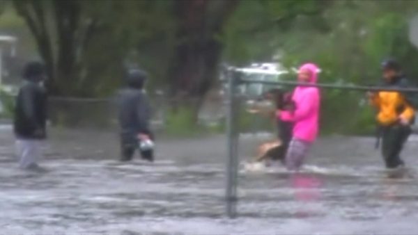 Woman carrying dog to safety