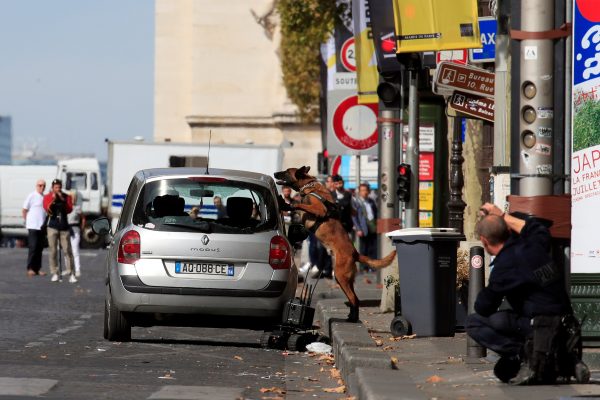Sniffing-dog-inspect-a-car