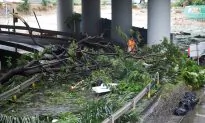 Hong Kong, Southern China Clean Up After Destruction by Super Typhoon Mangkhut