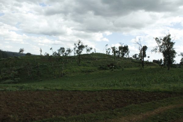 Kenya’s Mau Forest Evictions: Balancing Conservation, Human Rights, and ...