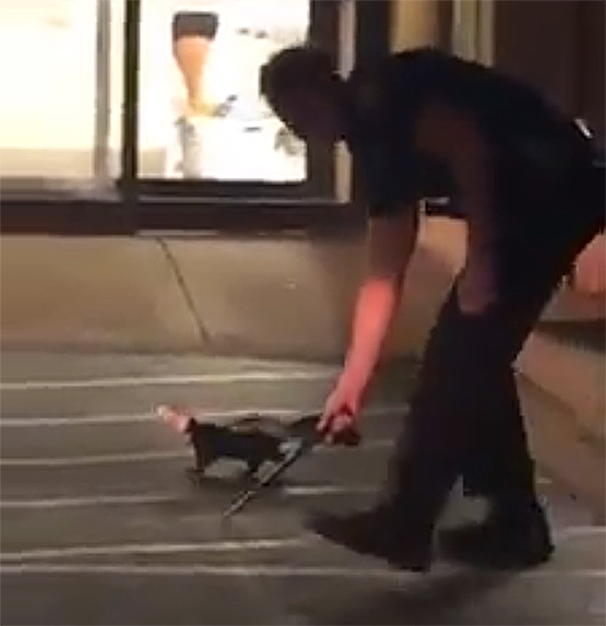 Aurora police rescues skunk