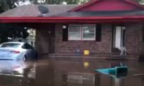 Video Shows Dog Being Rescued After Hurricane Florence Flooding