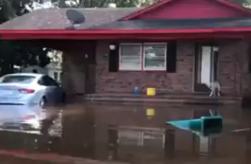 Video Shows Dog Being Rescued After Hurricane Florence Flooding