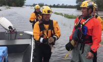 Rescuers Save Rabbit Left Stranded by Hurricane Florence