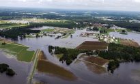 North Carolina Farmers Learned Nothing From Previous Hurricanes As Over 4 Million Animals Drown