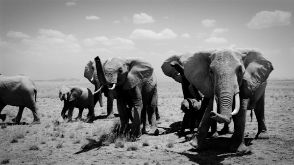 Epoch Times Photo