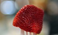 Australian Woman Charged With Contaminating Strawberries With Needles Following National ‘Strawberry Crisis’