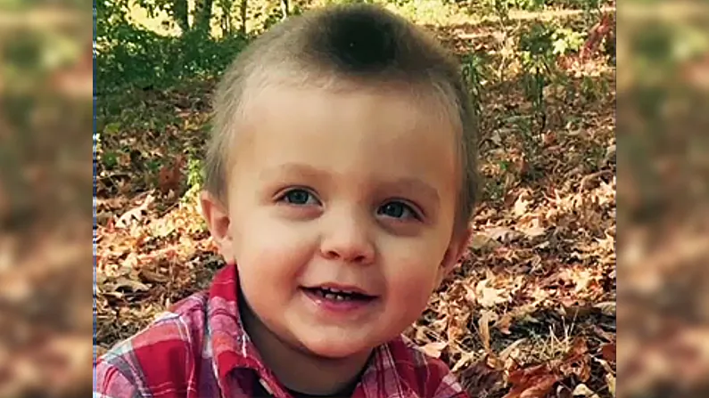 Four-year-old Chandler Mahaffey was bitten by a rabid raccoon on the porch of his Covington, Ga., home on Sept. 13, 2018. (Screenshot/Fox) 
