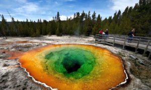 Yellowstone Geyser Throws up 80 Years of Trash, Say Park Officials