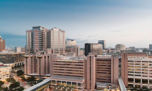 Texas Cancer Center Ousts 3 Researchers Over China IP Theft Concerns