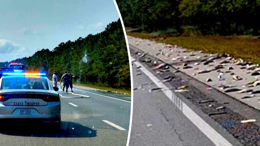 Hundreds of fish stranded on I-40 after Hurricane Florence floodwaters  recede