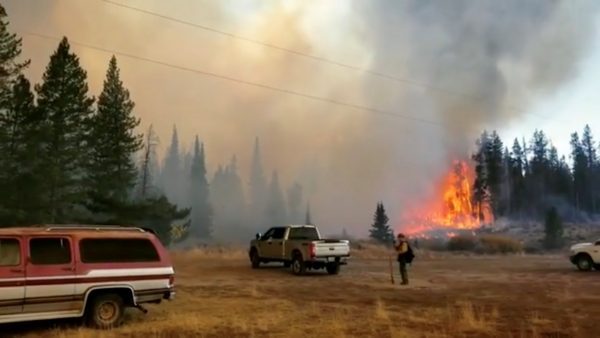 Smoke rises from wildfire