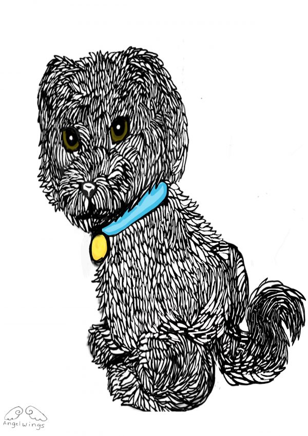 Drawing of dog