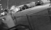 Video: Miami Peeping Tom Looks Inside Home With Children Inside
