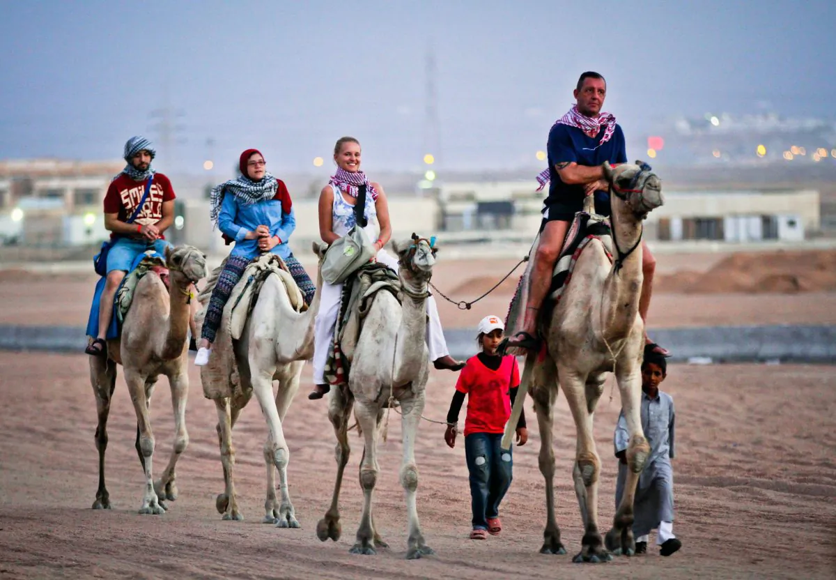 Tourists ride camels in Egypt's Red Sea resort of Sharm El-Sheikh on Nov. 4, 2015. (STR/AFP/Getty Images)