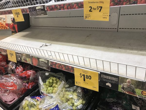 Empty shelves stocked strawberry