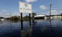 Florence Woes Continue With Winds, Rain—and Giant Mosquitoes