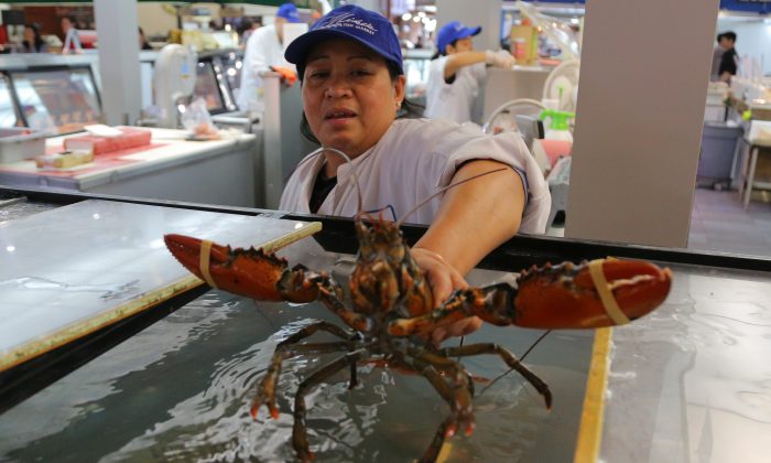 86% of Canadians Eat Fish or Seafood for Nutrition, Despite High Prices: Survey