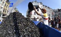 Five Hundred Tons of Mussels Fuel Massive French Flea Market