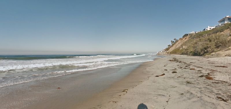 beacon's beach shark attack