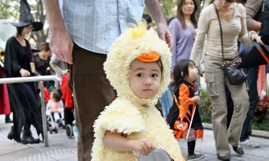 Fowl Play as Competition Gets Underway to Find the Best Rooster Impersonator