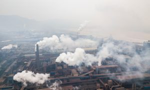 China Fools Western Environmentalists