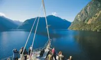 A New Zealand Adventure: Cruising in Fiordland National Park
