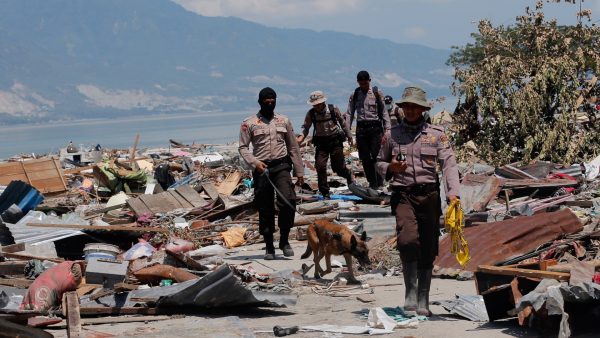 K9 search victims wreckage Palu