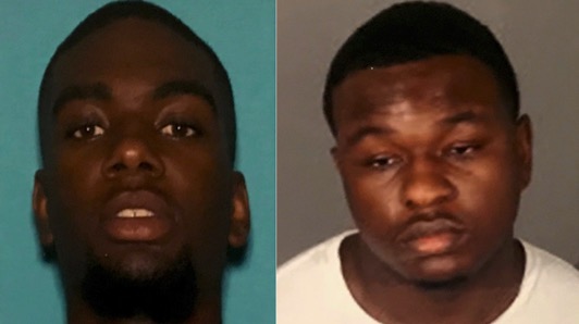 burglary suspects
