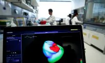 Medical Experts Call for Monitoring to Reduce Rheumatic Heart Disease, Fever