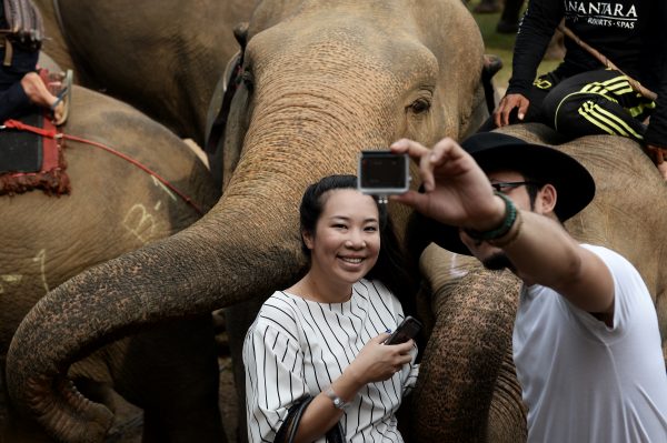 Couple take selfie with Elephant