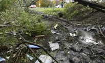 ‘Like a Bad Dream’: Family Members Describe Shock After Limo Crash