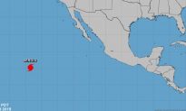 Latest Updates on Hurricane Sergio, Michael, Tropical Storm Leslie