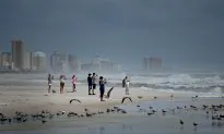 Florida Sheriff Issues Warning About Rip Currents After Multiple Fatalities Reported