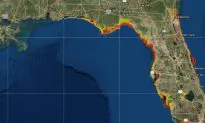 Hurricane Michael: Live Webcams, TV Feeds, Streams, Chasers, Videos from the Florida Panhandle