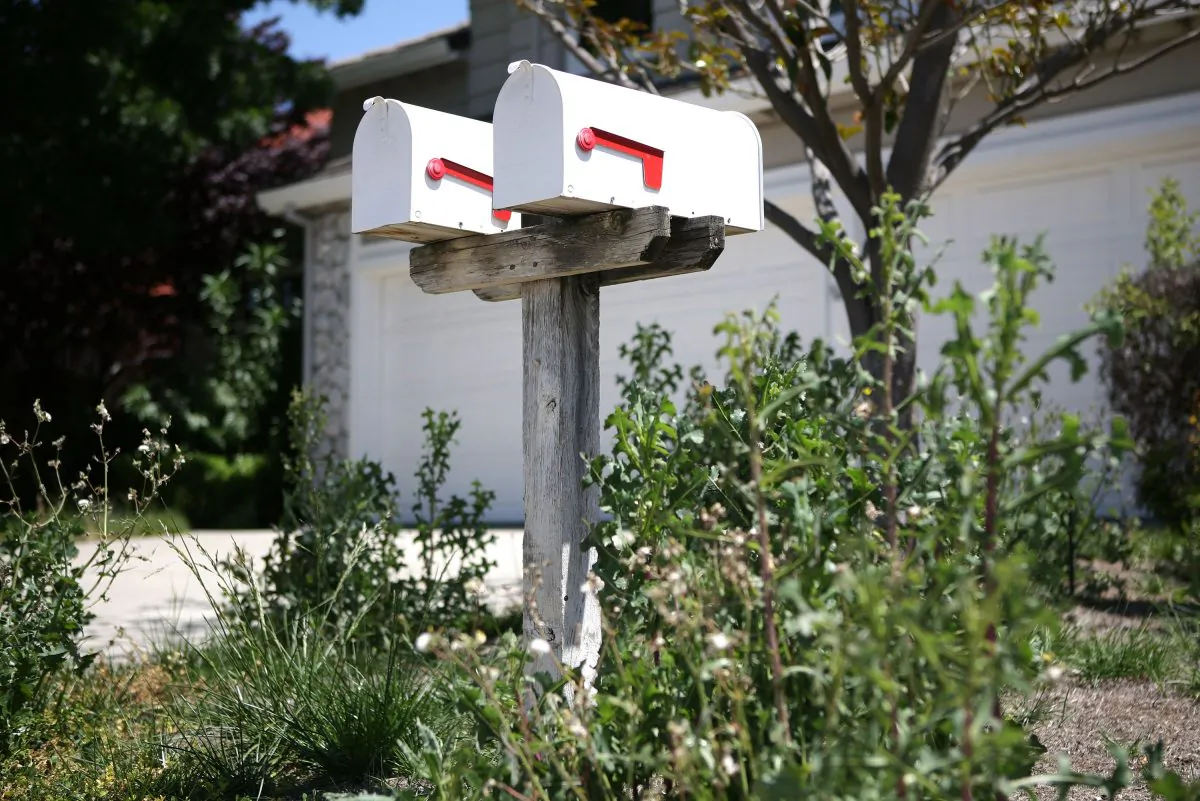 A set of mailboxes in a file photograph. (Photo by Justin Sullivan/Getty Images)