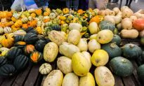A Guide to Fall Produce