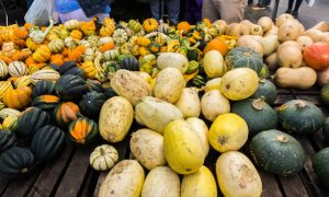 A Guide to Fall Produce