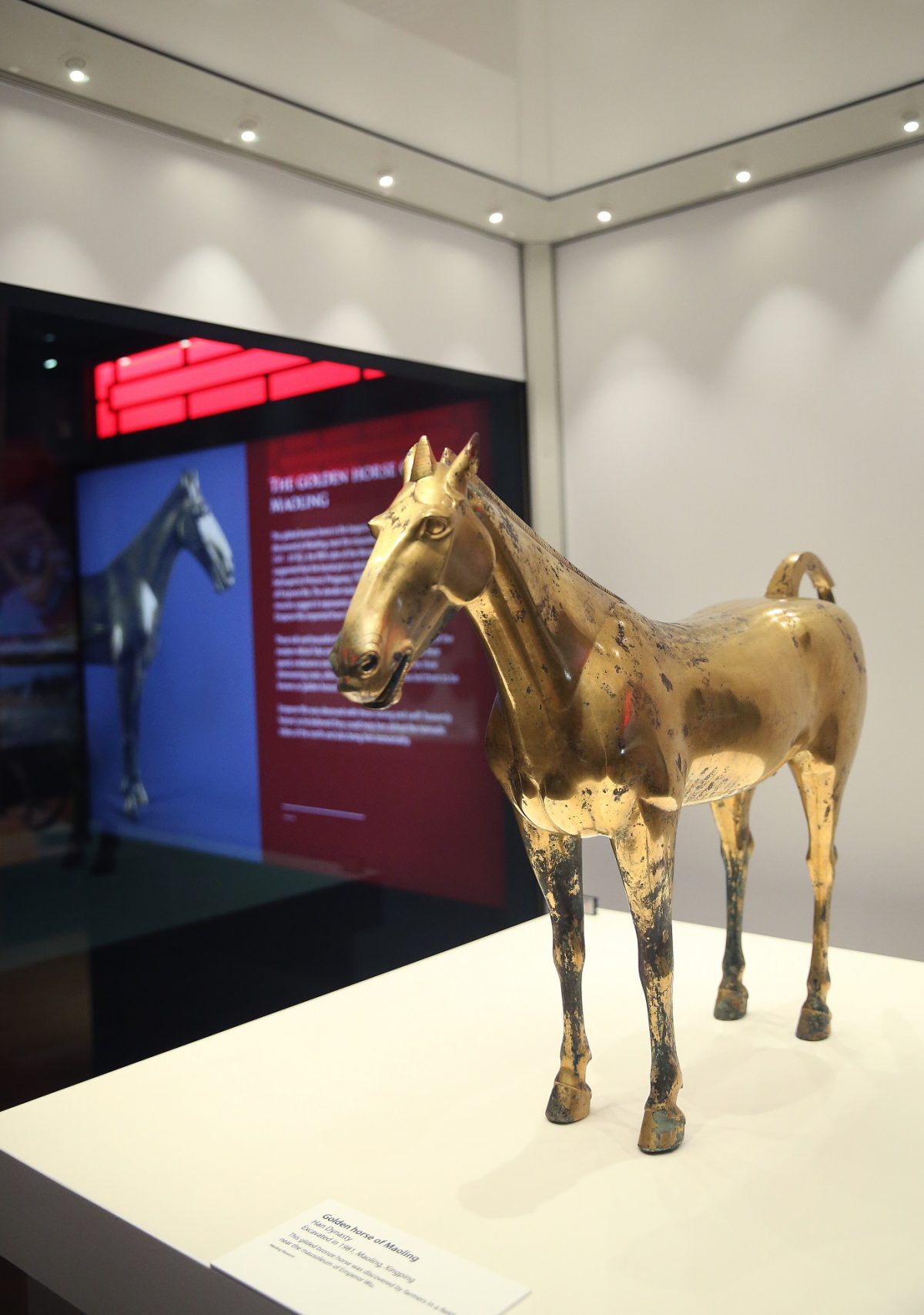 Han dynasty "Golden Horse of Maoling"