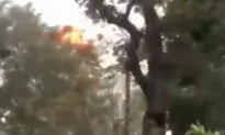 Video: Hurricane Michael Causes Transformer Explosion in Alabama