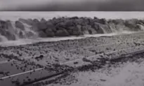 Video: Hurricane Michael Storm Surge Overtakes US Highway 98 in Gulf County