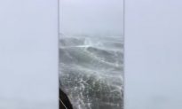 Hurricane Michael: Merchant Vessel Captures Big Waves