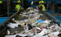 US Recyclers Begin Road to Recovery After China Bans Recyclables