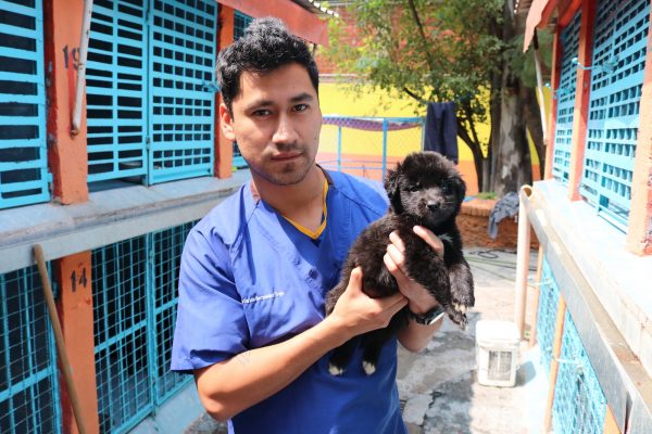 Veterinarian Jose Carlos Hernandez Trejo with a rescued puppy.